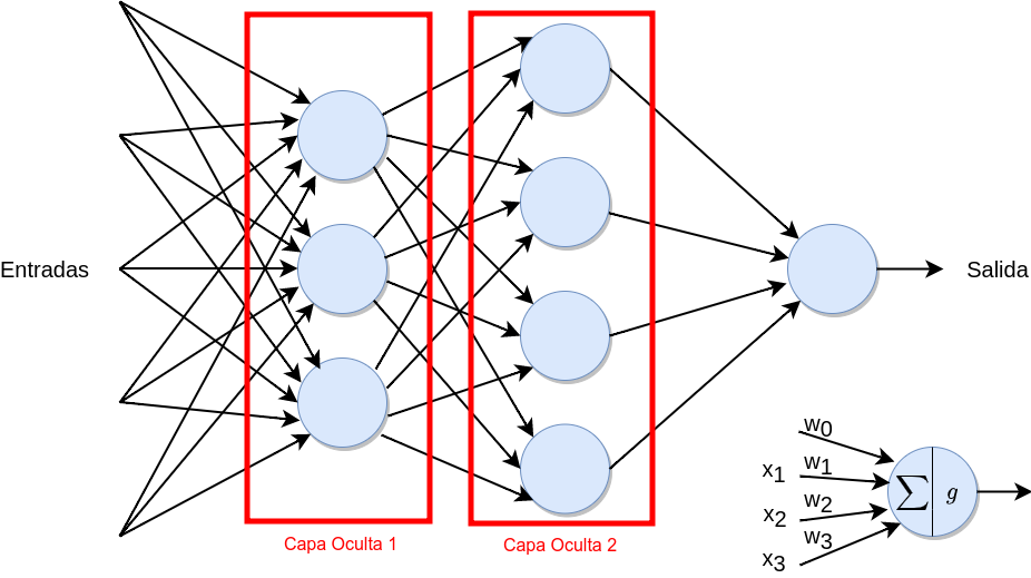 Estructura del perceptrón multicapa (MLP).